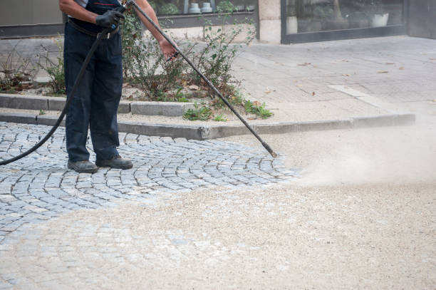 Best Pre-Holiday Cleaning  in Wyndham, VA
